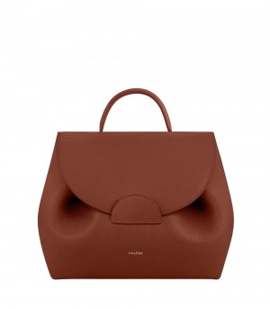 Brown Polene Numéro Un Handbags | IRELAND 309684D