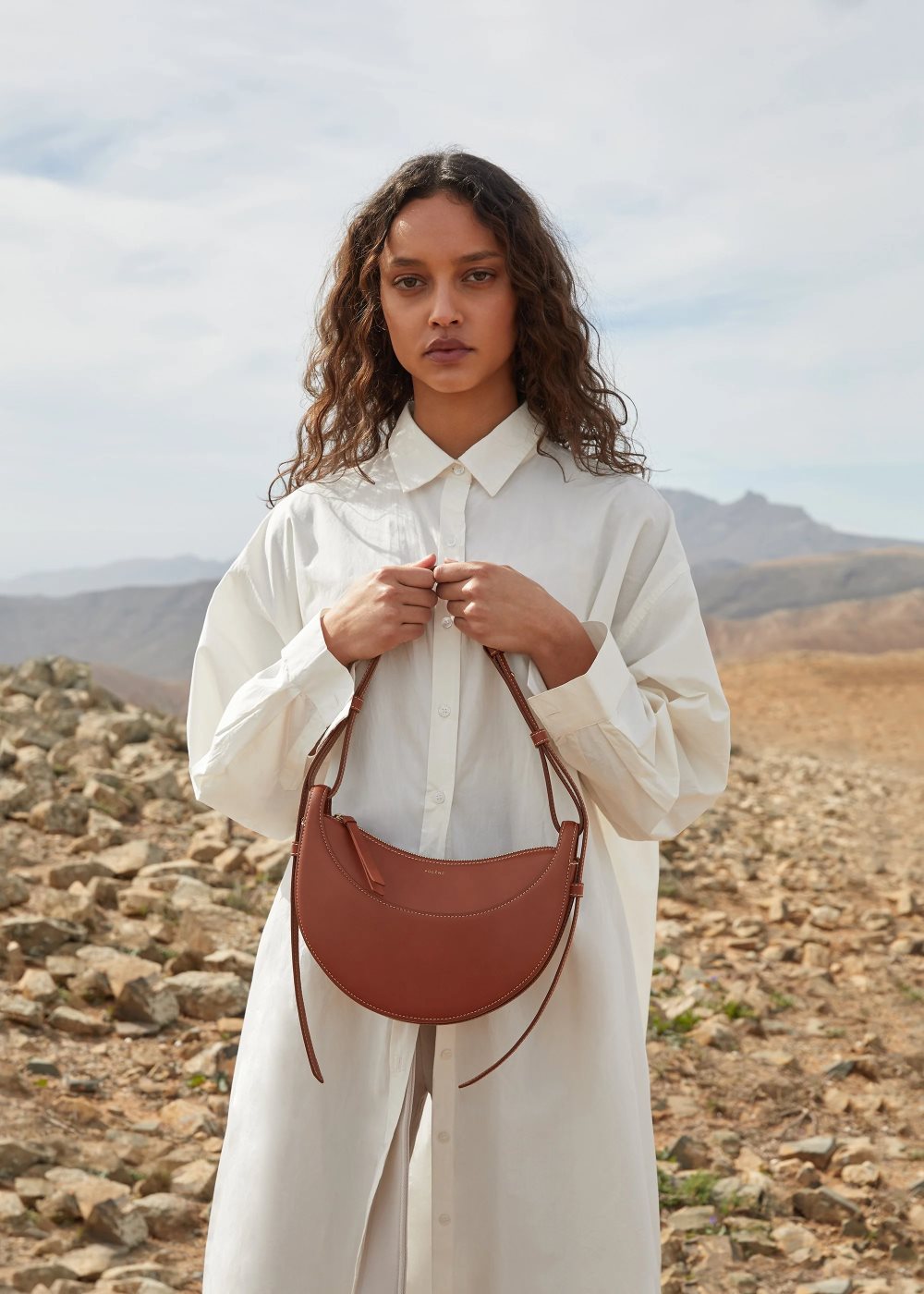 Brown Polene Numéro Dix Crossbody Bags | IRELAND 821739F